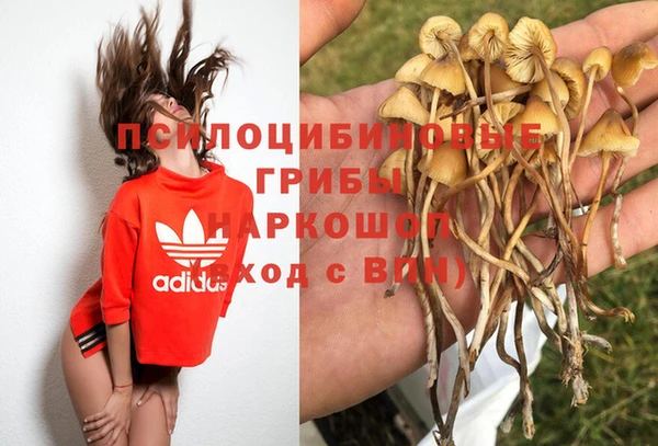 спиды Алзамай